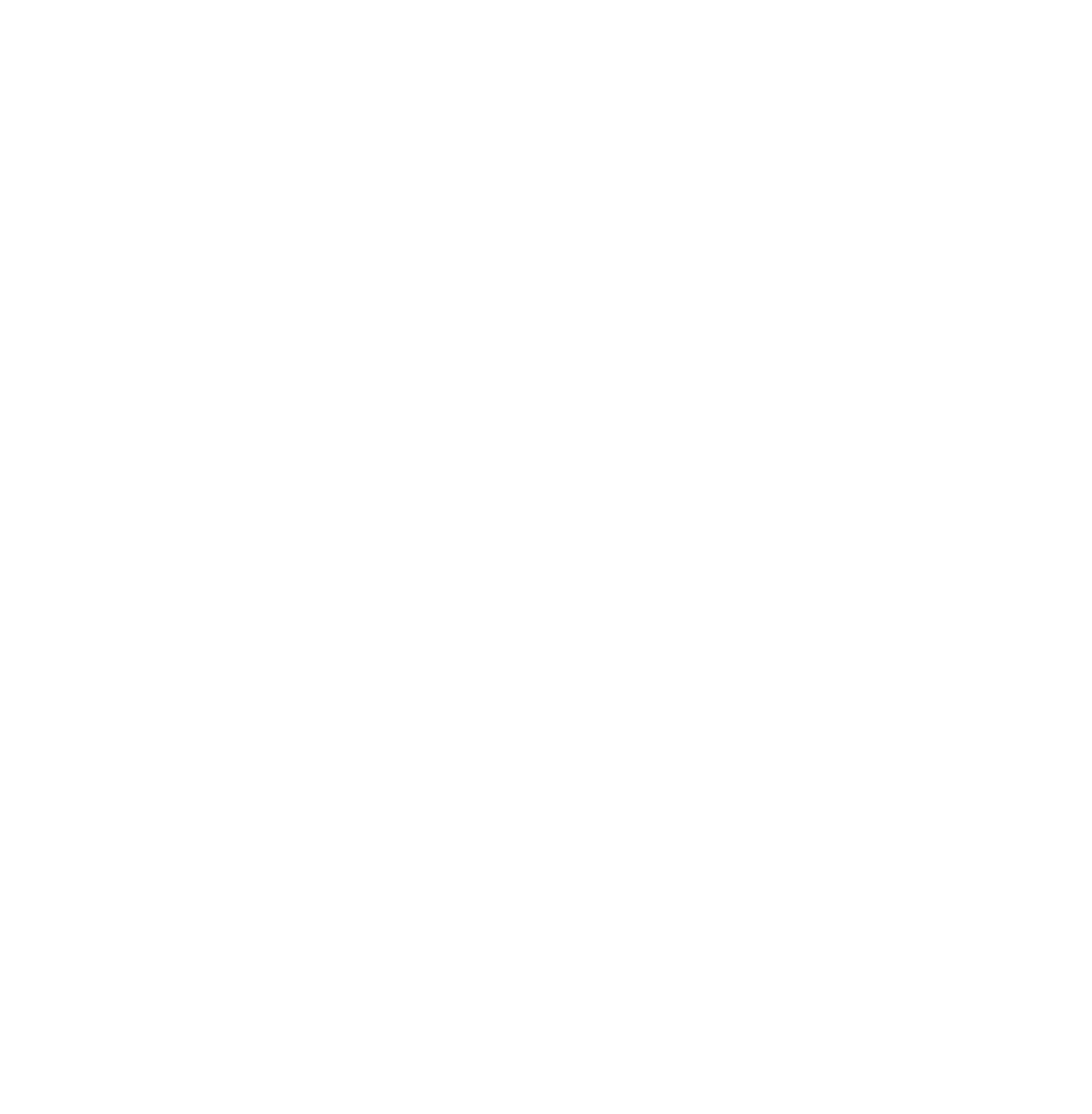 VANlovers Logo Weiß